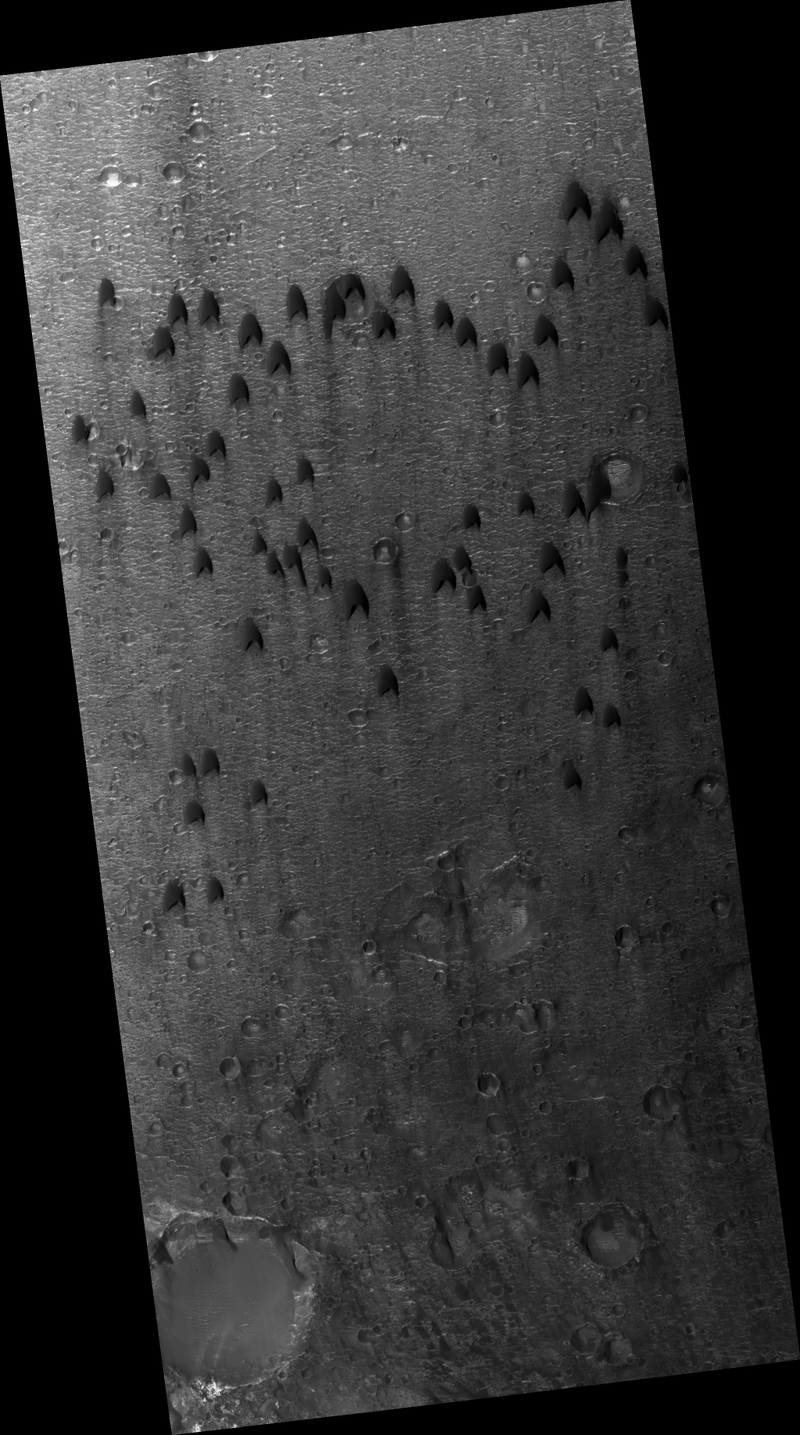 Illustration for article titled Barchan Dunes on Mars